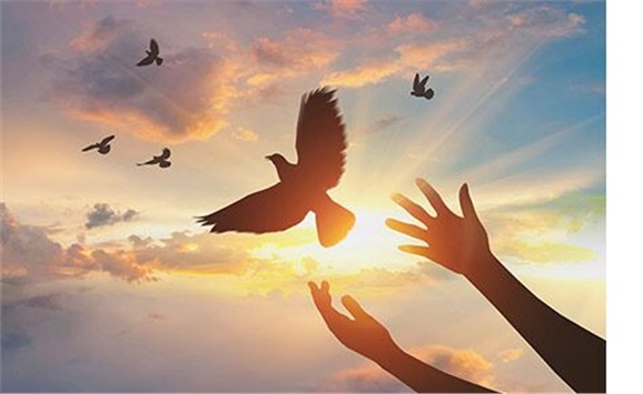 热烈祝贺经贸物流系严妍、刘志清老师被评为火狐平台_火狐(中国)一站式服务平台先进工作者