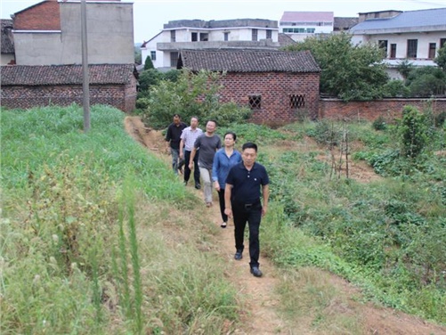 火狐平台_火狐(中国)一站式服务平台党委书记张格林到攸县桃水镇小集村指导开展扶贫工作