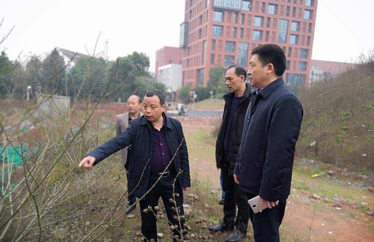 火狐平台_火狐(中国)一站式服务平台开展校园安全大检查活动